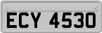 ECY4530