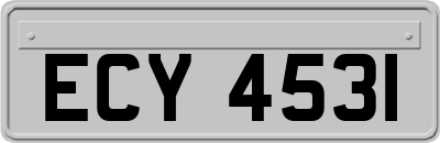 ECY4531