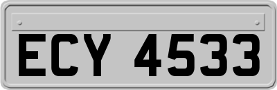 ECY4533