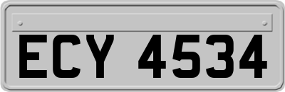 ECY4534