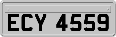 ECY4559
