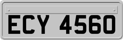 ECY4560