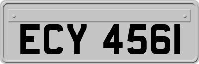 ECY4561