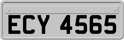 ECY4565