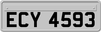 ECY4593