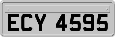 ECY4595