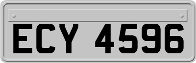 ECY4596