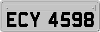ECY4598