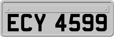 ECY4599