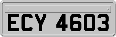ECY4603