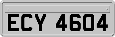 ECY4604