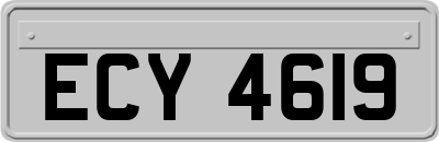 ECY4619