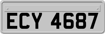 ECY4687