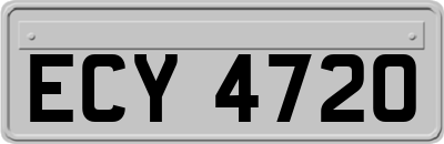 ECY4720