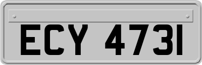 ECY4731