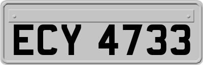 ECY4733