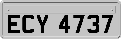 ECY4737