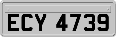 ECY4739