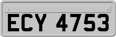 ECY4753