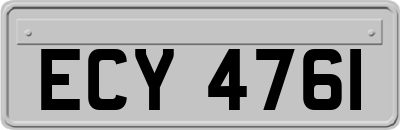 ECY4761