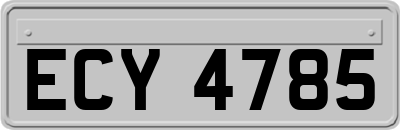 ECY4785