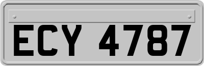 ECY4787