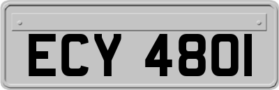 ECY4801