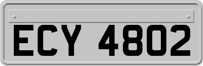 ECY4802