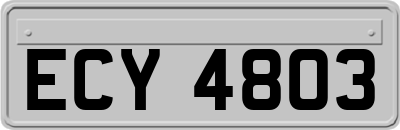 ECY4803