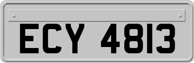 ECY4813
