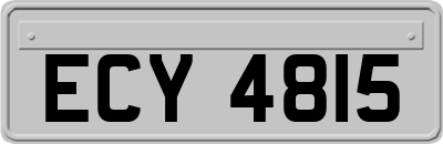 ECY4815