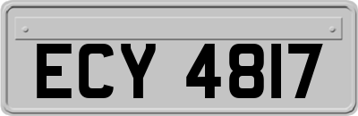 ECY4817