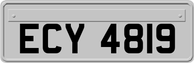 ECY4819