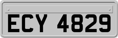 ECY4829