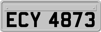 ECY4873