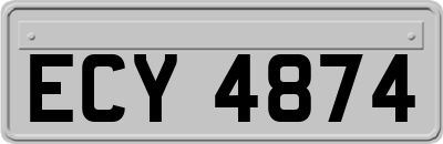 ECY4874