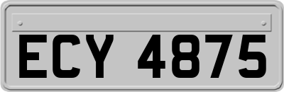 ECY4875