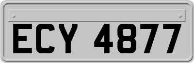 ECY4877