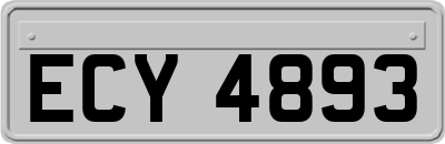 ECY4893