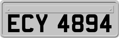 ECY4894