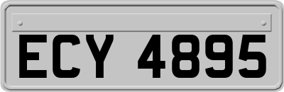 ECY4895