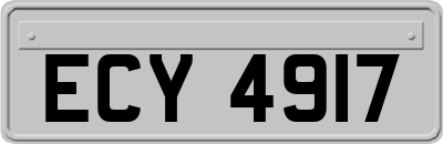 ECY4917