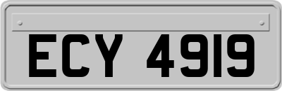 ECY4919