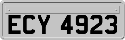 ECY4923