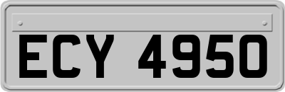 ECY4950