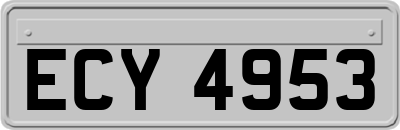 ECY4953