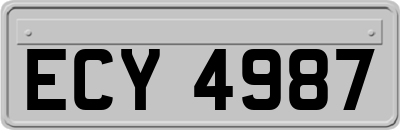 ECY4987