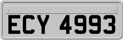 ECY4993