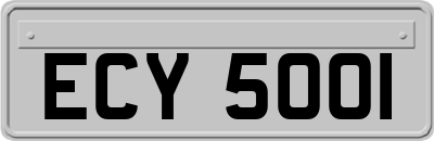 ECY5001
