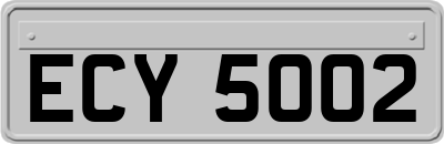 ECY5002